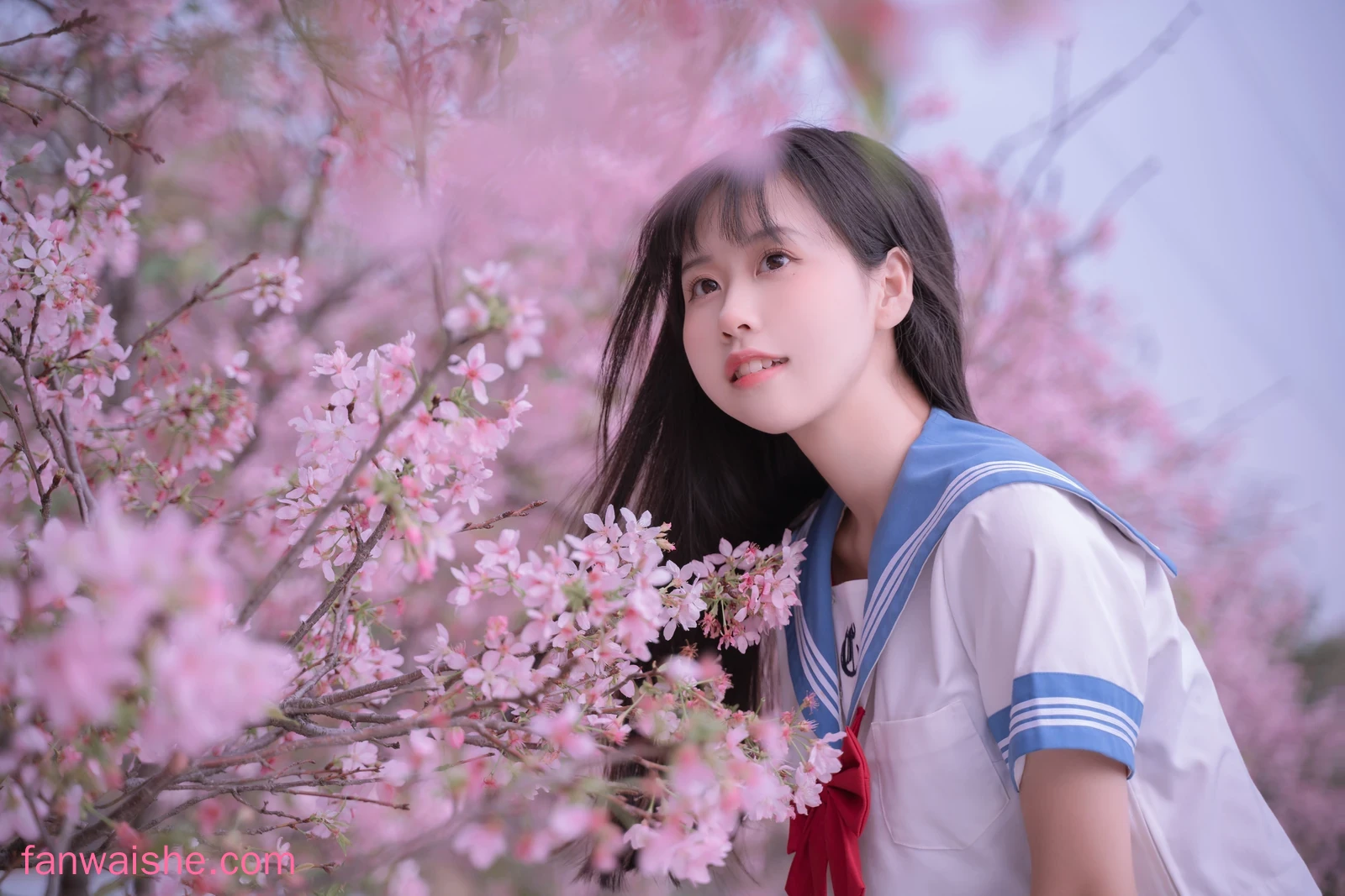 萌芽儿o0 萌芽儿o0 NO.023 - 樱花jk