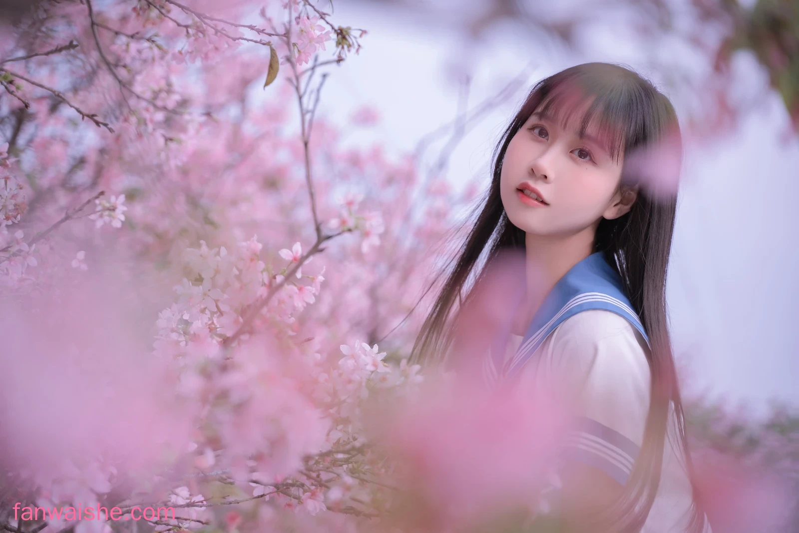 萌芽儿o0 萌芽儿o0 NO.023 - 樱花jk
