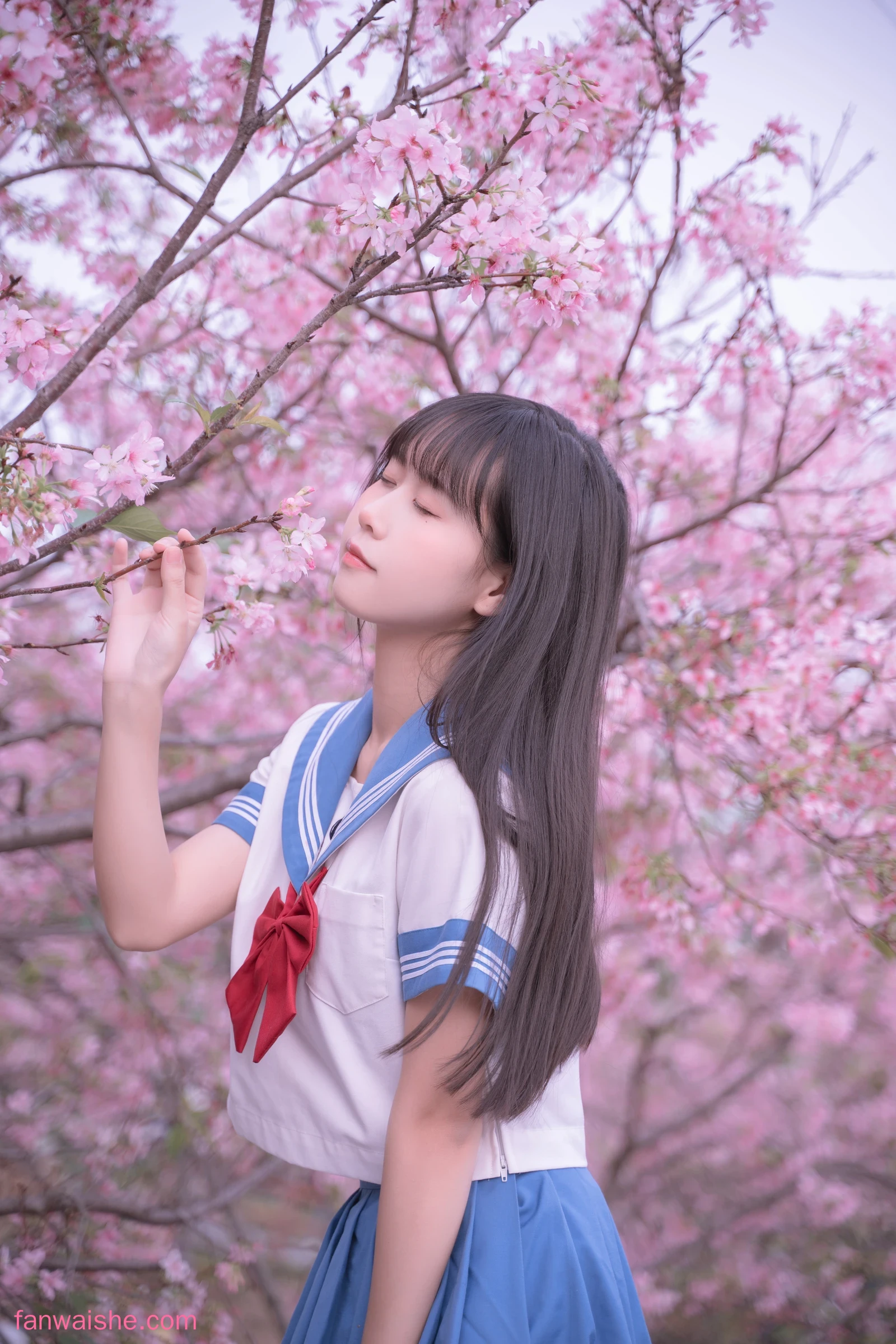 萌芽儿o0 萌芽儿o0 NO.023 - 樱花jk