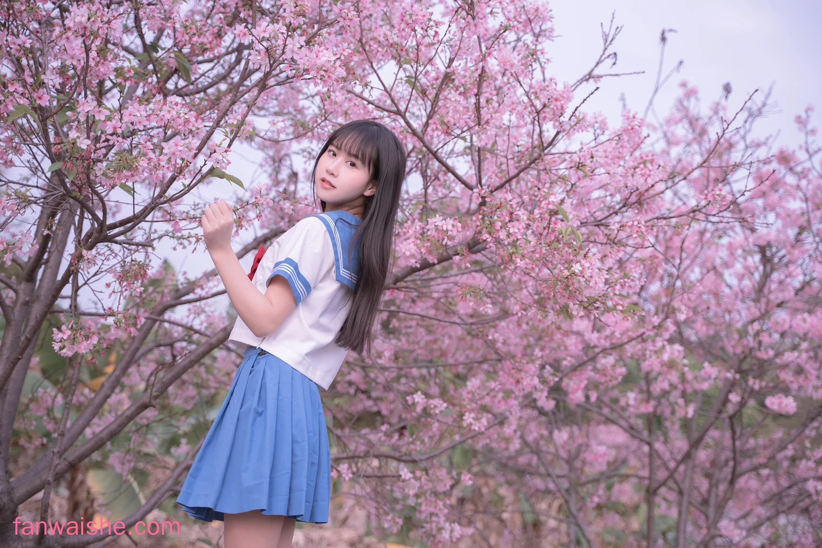 萌芽儿o0 萌芽儿o0 NO.023 - 樱花jk