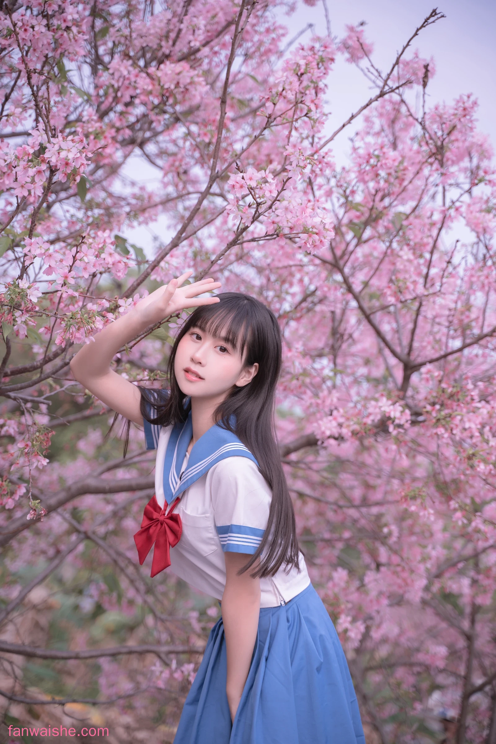 萌芽儿o0 萌芽儿o0 NO.023 - 樱花jk