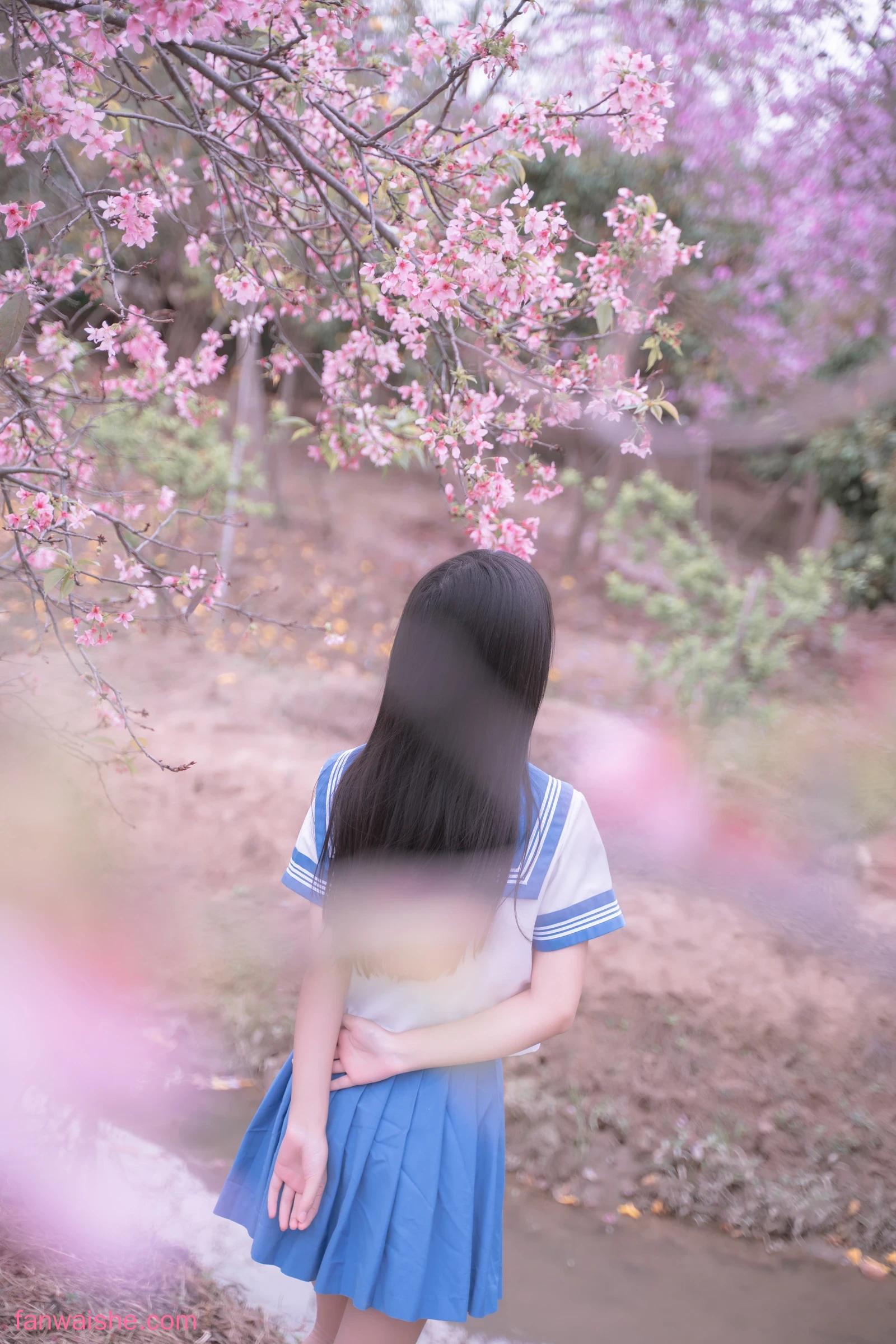 萌芽儿o0 萌芽儿o0 NO.023 - 樱花jk