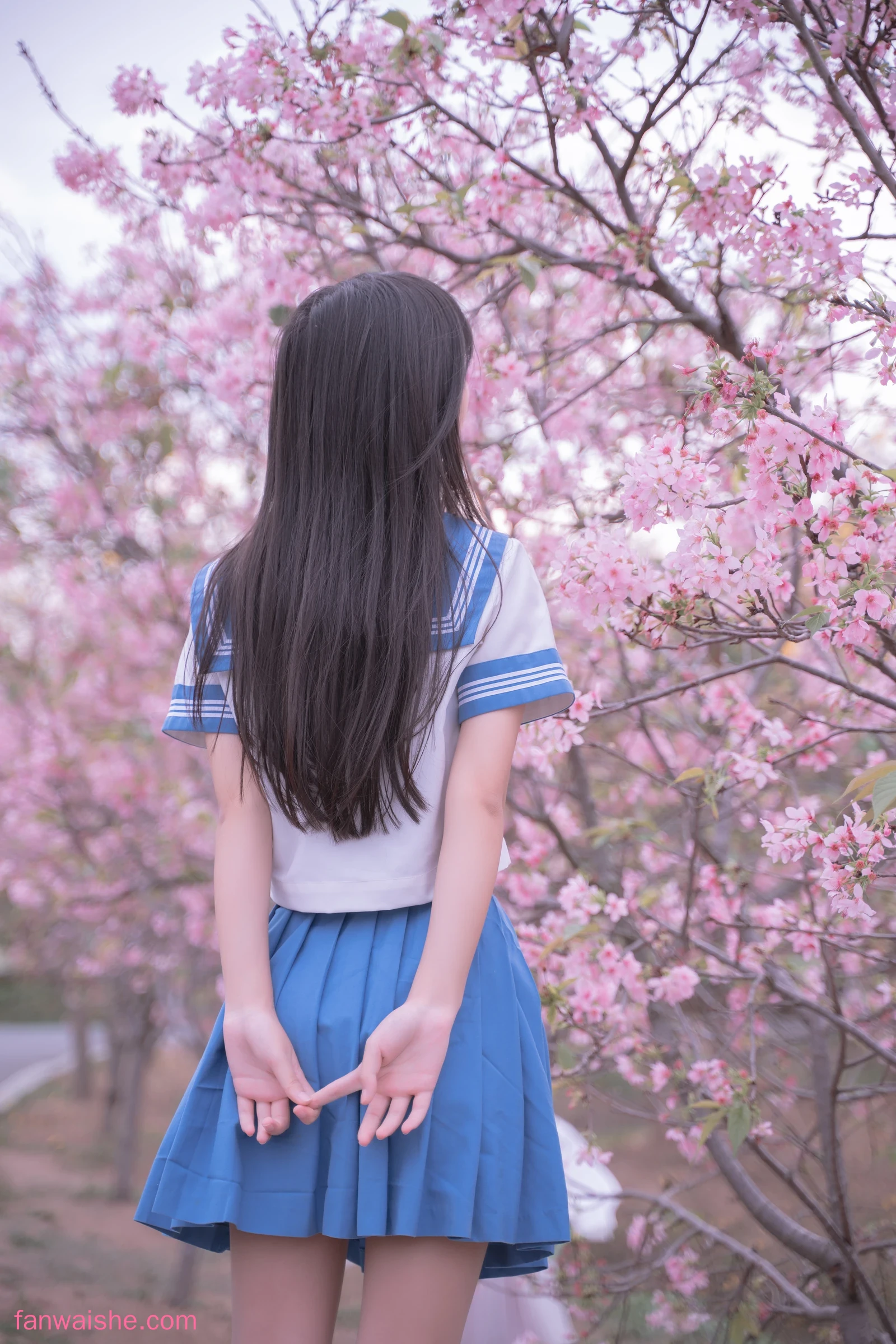 萌芽儿o0 萌芽儿o0 NO.023 - 樱花jk
