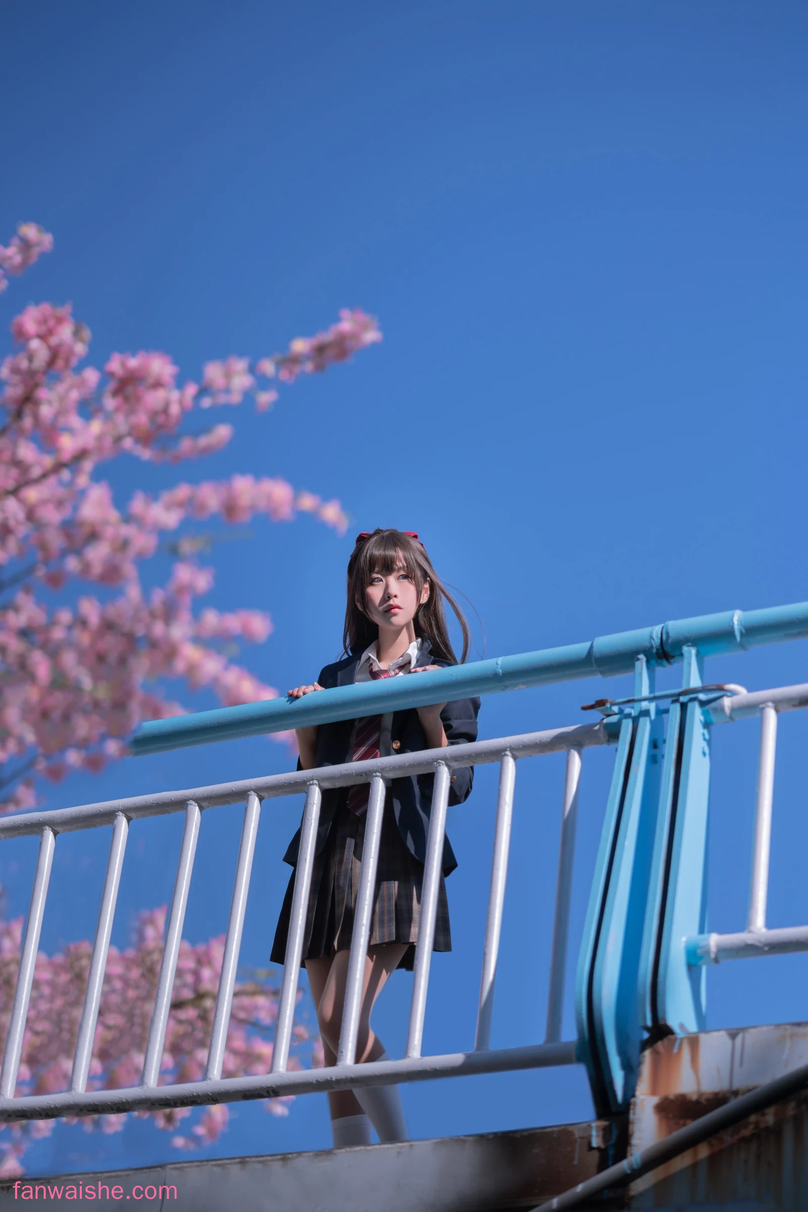 萌芽儿o0 萌芽儿o0 NO.024 - 异木棉花