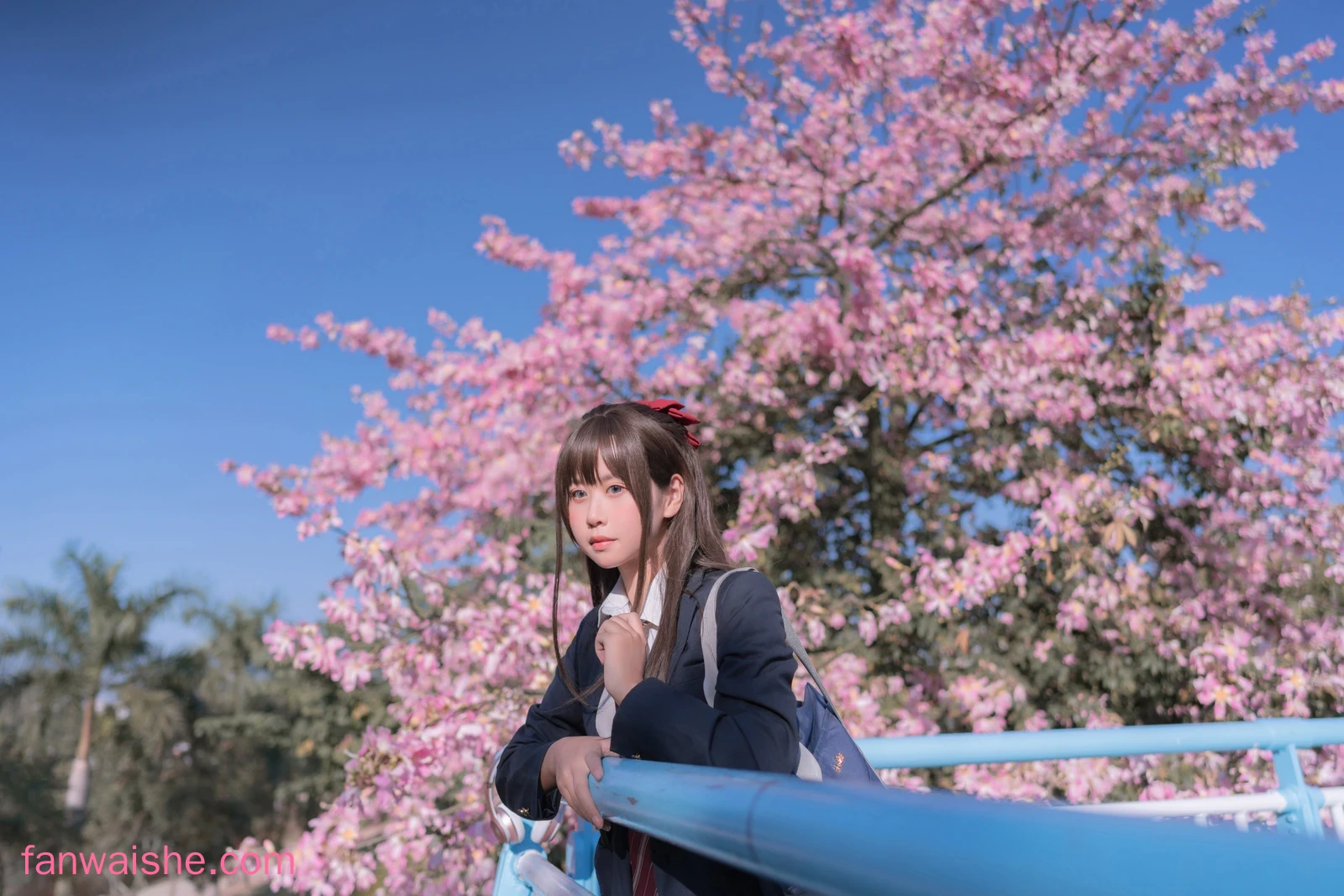 萌芽儿o0 萌芽儿o0 NO.024 - 异木棉花