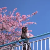 萌芽儿o0《异木棉花》主题写真：26张全套美图