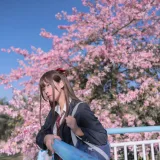 萌芽儿o0《异木棉花》主题写真：26张全套美图