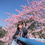萌芽儿o0《异木棉花》主题写真：26张全套美图
