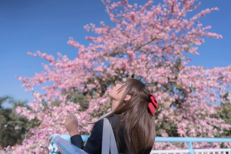 萌芽儿o0《异木棉花》主题写真：26张全套美图