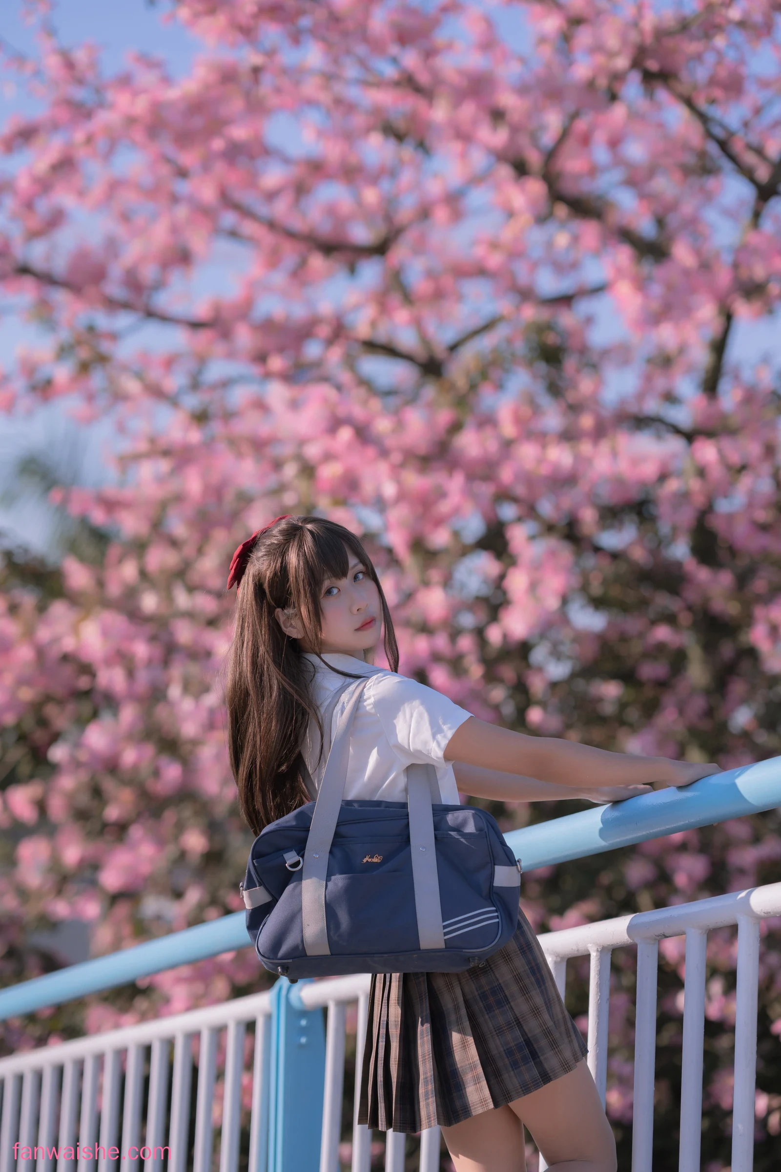 萌芽儿o0 萌芽儿o0 NO.024 - 异木棉花