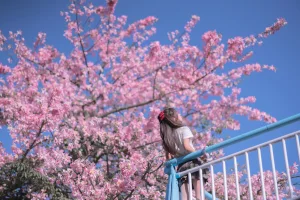 萌芽儿o0《异木棉花》主题写真：26张全套美图