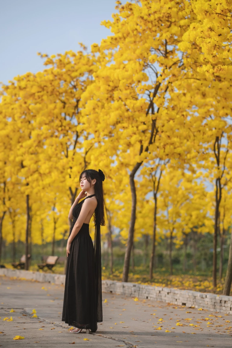 萌芽儿o0《秋有银杏 春有黄风铃》主题写真：23张全套美图