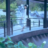 Shika小鹿鹿《新中式》主题写真：21张全套美图