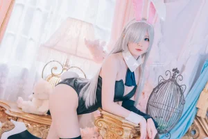 霜月shimo《七大罪 伊丽莎白 兔女郎》主题写真：16张全套美图