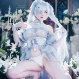霜月shimo《灰姑娘Cinderella》主题写真：22张全套美图
