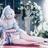 霜月shimo《灰姑娘Cinderella》主题写真：22张全套美图