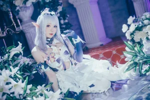 霜月shimo《崩坏星穹铁道 遐蝶》主题写真：23张全套美图