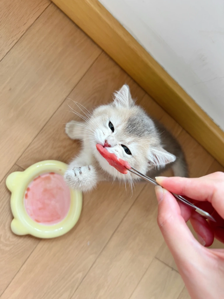 眼酱大魔王w《Fantia 2022年08月会员合集》主题写真：45张全套美图，含5个视频