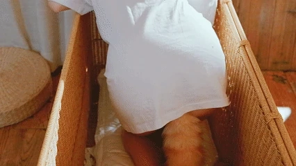 阿薰kaori《黄豆粉40猫》主题写真：212张全套美图，含3个视频