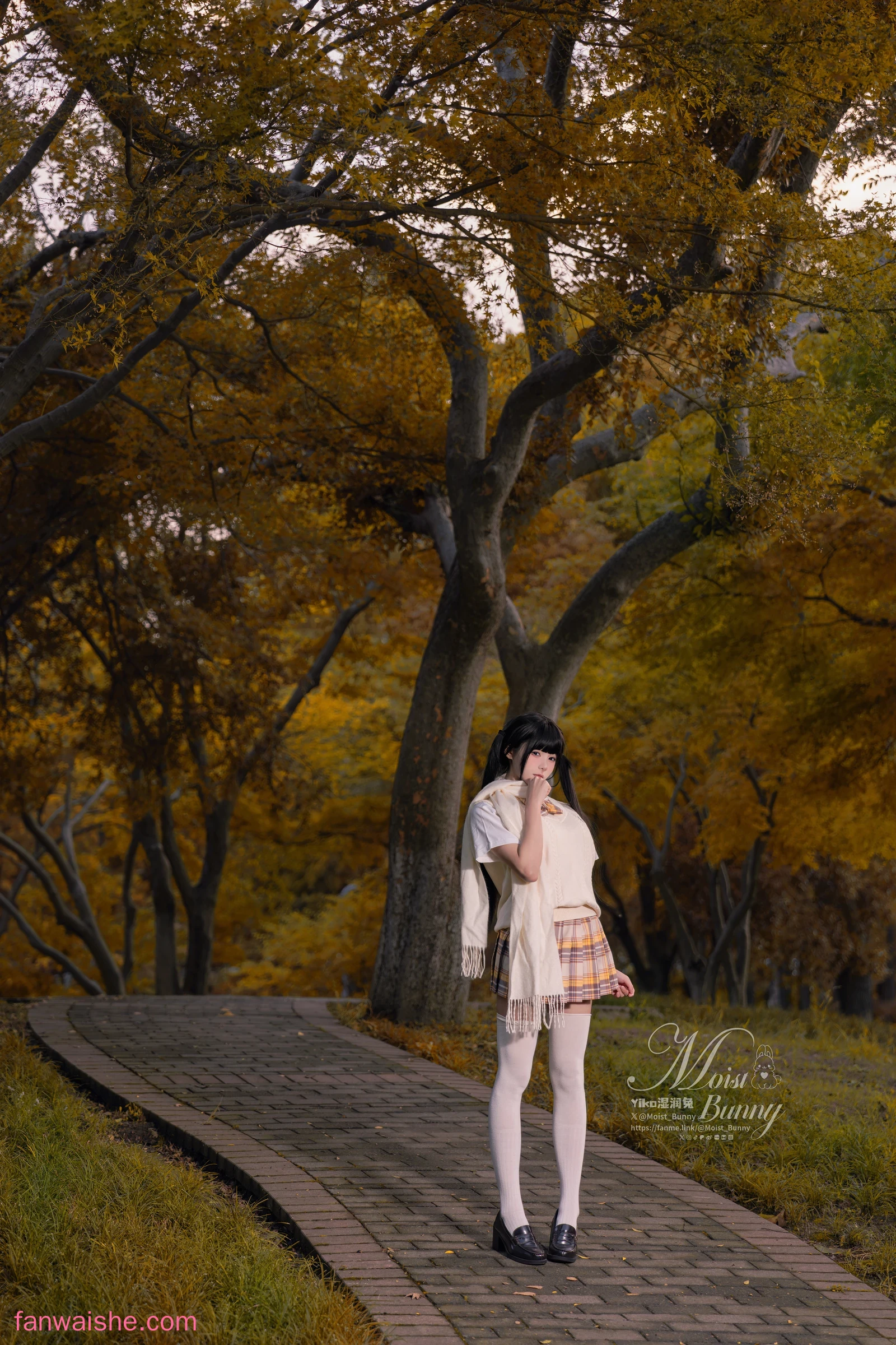 Yiko湿润兔 Yiko湿润兔 NO.005 - 2025年1月月票特典 冬の邂逅 [41P1V-1.20GB]
